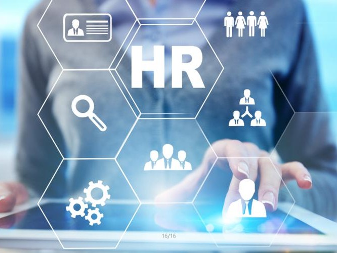 人力资源管理案例